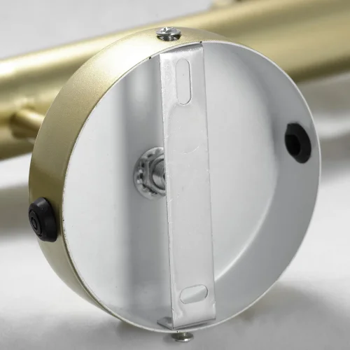 Светильник потолочный лофт Murray GRLSP-8169 Lussole без плафона 5 ламп, основание матовое золото в стиле лофт  фото 7