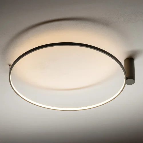 Светильник потолочный LED Circolo Led M 11402-NW Nowodvorski зелёный на 1 лампу, основание зелёное в стиле современный фото 4