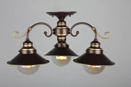 Люстра потолочная Fontelo OML-50407-03 Omnilux прозрачная на 3 лампы, основание коричневое в стиле кантри  фото 6