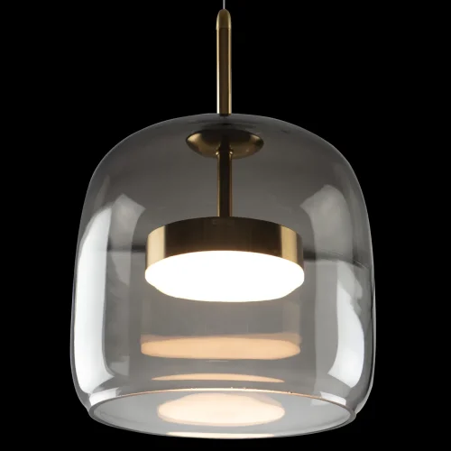 Светильник подвесной LED Dauphin 10041A LOFT IT чёрный 1 лампа, основание золотое в стиле современный выдувное фото 4