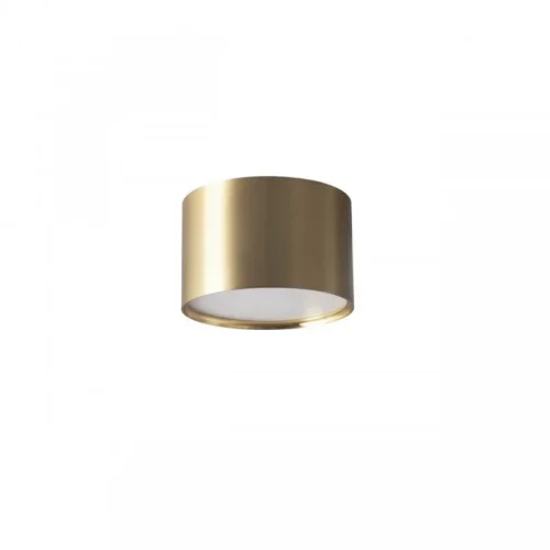 Светильник накладной LED Salentino OML-100929-12 Omnilux бронзовый на 1 лампу, основание бронзовое в стиле современный 