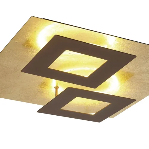 Светильник потолочный LED Dalia 8163 Mantra золотой 1 лампа, основание коричневое в стиле современный хай-тек  фото 3