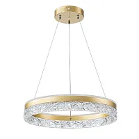 Светильник подвесной LED с пультом Apollo A2549SP-75GO Arte Lamp прозрачный на 1 лампу, основание золотое в стиле хай-тек современный кольца