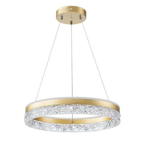Светильник подвесной LED с пультом Apollo A2549SP-75GO Arte Lamp прозрачный на 1 лампу, основание золотое в стиле хай-тек современный кольца