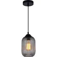 Светильник подвесной Eraclio 2054/06/01P Stilfort серый чёрный 1 лампа, основание чёрное в стиле современный 