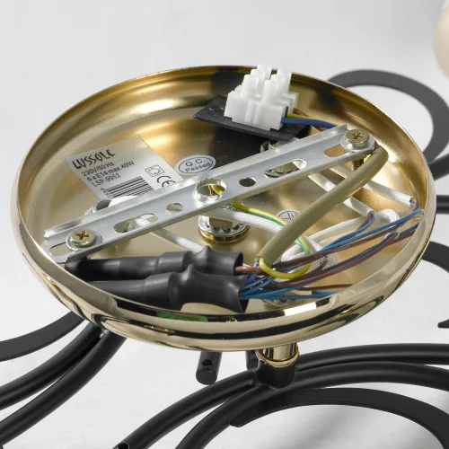 Люстра потолочная Oakland LSP-9952 Lussole белая прозрачная на 6 ламп, основание чёрное в стиле современный фото 4 Люстра потолочная Oakland LSP-9952 Lussole белая прозрачная на 6 ламп, основание чёрное в стиле современный фото 4