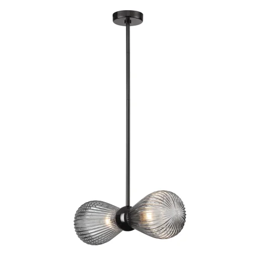 Светильник подвесной Elica 5417/2 Odeon Light чёрный серый 2 лампы, основание чёрное в стиле современный  фото 3