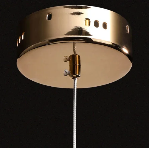 Светильник подвесной NAINA B 189675-23 ImperiumLoft прозрачный 1 лампа, основание золотое в стиле современный  фото 3