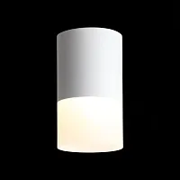 Светильник накладной LED ST100.502.10 ST-Luce белый на 1 лампу, основание белое в стиле хай-тек круглый