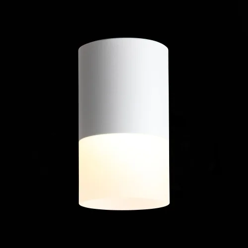Светильник накладной LED ST100.502.10 ST-Luce белый на 1 лампу, основание белое в стиле хай-тек круглый