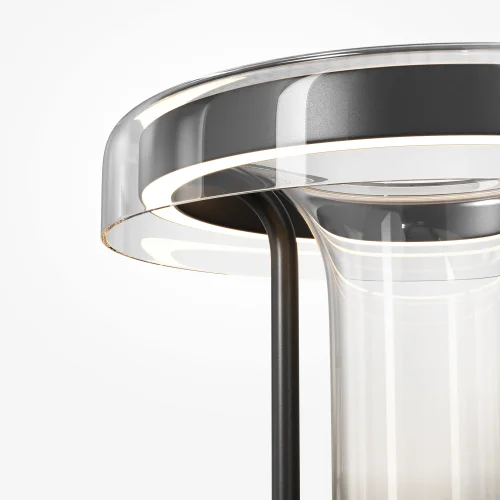 Торшер LED Ikebana MOD463FL-L24B3K Maytoni дымчатый на 1 лампу, основание чёрное в стиле современный фото 2