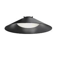 Подвесной светильник Campana 4000K 12Вт 120° Pendant system Parity TR127B-12W4K-B Maytoni чёрный для шинопроводов серии Pendant system Parity чёрный