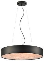 Светильник подвесной LED Edera WE510.01.723 Wertmark купить, цены, отзывы, фото, быстрая доставка по Москве и России. Заказы 24/7