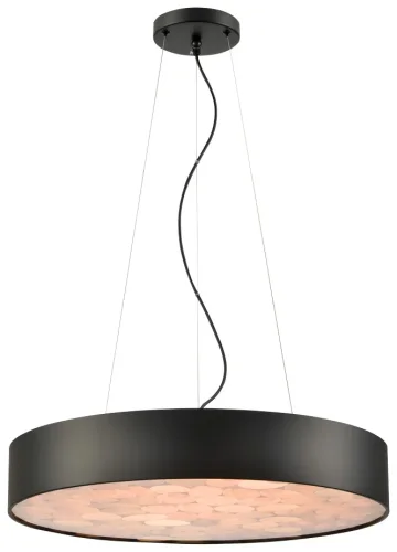 Светильник подвесной LED Edera WE510.01.723 Wertmark чёрный на 1 лампу, основание чёрное в стиле современный 