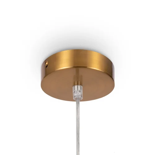 Светильник подвесной Focus FR5220PL-01G6 Freya прозрачный на 1 лампу, основание золотое в стиле современный фото 8