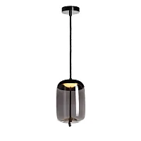 Светильник подвесной LED Knot 8134-C LOFT IT прозрачный серый 1 лампа, основание чёрное в стиле современный выдувное