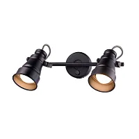 Спот с 2 лампами Бейкер CL541521 Citilux чёрный E14 в стиле современный 
