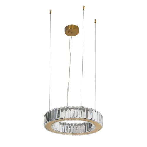 Люстра подвесная LED Manor 4195-4P Favourite прозрачная на 1 лампа, основание золотое в стиле классический кольца фото 2