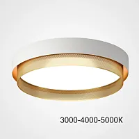 Светильник потолочный MALIA D55 White Brass Трехцветный свет 223852-23 ImperiumLoft белый на 1 лампу, основание белое в стиле скандинавский минимализм современный 