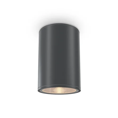 Светильник накладной LED Bar O306CL-L12GF Maytoni чёрный на 1 лампу, основание чёрное в стиле современный круглый фото 5