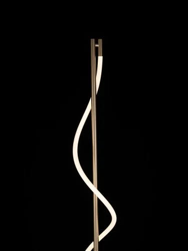 Торшер LED Eva CL210912 Citilux  белый 1 лампа, основание матовое золото в стиле современный
 фото 4