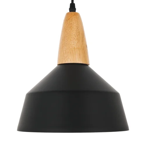 Светильник подвесной Brigitte MR1402-1P MyFar чёрный 1 лампа, основание чёрное в стиле современный скандинавский лофт  фото 4