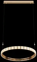 Светильник подвесной LED Vera WE458.01.343 Wertmark прозрачный 1 лампа, основание золотое в стиле хай-тек современный кольца