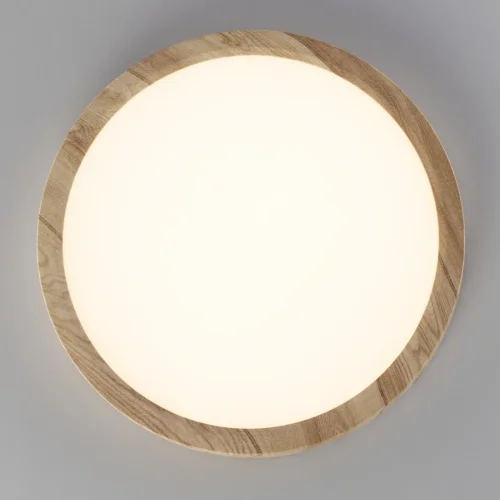 Светильник потолочный LED Бейсик CL738182V Citilux белый 1 лампа, основание бежевое в стиле современный хай-тек круглый фото 5