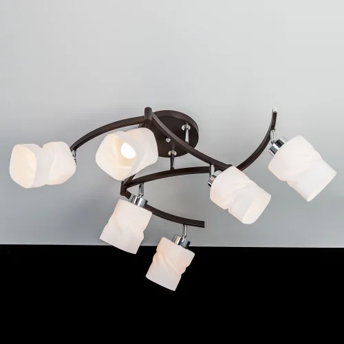 Люстра потолочная Берта CL126162 Citilux белая на 6 ламп, основание коричневое венге в стиле современный  фото 3