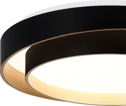 Светильник потолочный LED Crosby SLE6009-402-01 Evoluce белый на 1 лампу, основание чёрное в стиле минимализм фото 3