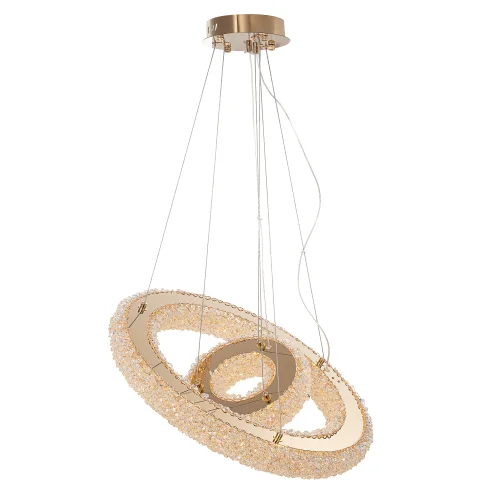Люстра подвесная LED Cloudy CL323172 Citilux прозрачная на 1 лампу, основание золотое в стиле современный кольца фото 3