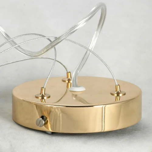 Люстра подвесная Alaska GRLSP-8340 Lussole прозрачная на 16 ламп, основание золотое в стиле современный  фото 4