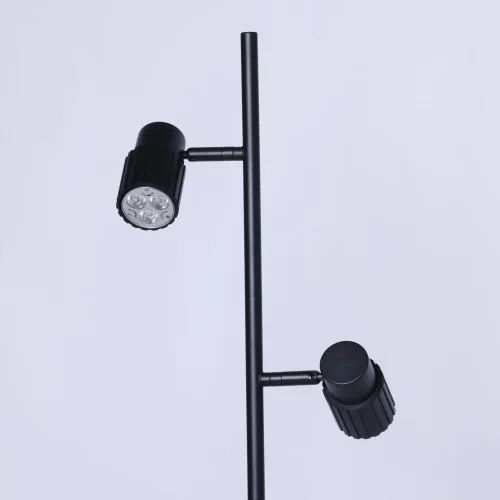 Торшер Астор 545044702 DeMarkt  чёрный 2 лампы, основание чёрное в стиле современный хай-тек
 фото 6
