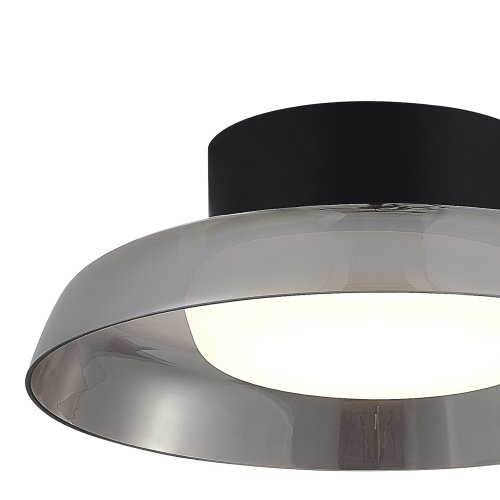 Светильник потолочный LED Foray SL6019.412.01 ST-Luce дымчатый белый на 1 лампу, основание чёрное в стиле современный фото 3