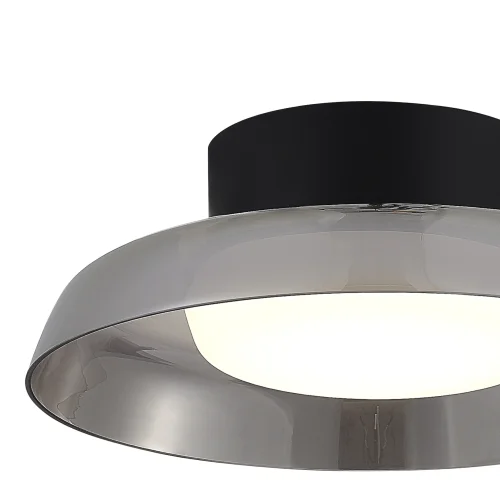 Светильник потолочный LED Foray SL6019.412.01 ST-Luce дымчатый белый на 1 лампу, основание чёрное в стиле современный фото 3 Светильник потолочный LED Foray SL6019.412.01 ST-Luce дымчатый белый на 1 лампу, основание чёрное в стиле современный фото 3