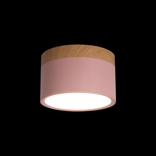 Светильник накладной LED Grape 10162 Pink LOFT IT розовый 1 лампа, основание розовое бежевое в стиле современный круглый фото 2