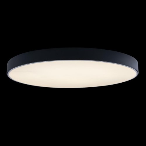 Светильник потолочный LED Axel 10002/48 Black LOFT IT белый 1 лампа, основание чёрное в стиле модерн  фото 5