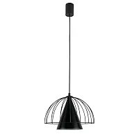 Светильник подвесной Iris LH012096 LightHall чёрный на 1 лампу, основание чёрное в стиле современный 