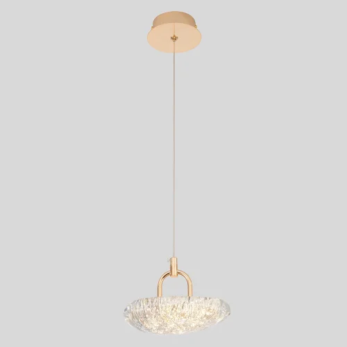 Светильник подвесной LED с пультом FELICIDAD SP9W LED Crystal Lux прозрачный на 1 лампу, основание золотое в стиле современный 