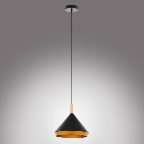 Светильник подвесной Adele MR1380-1P MyFar чёрный 1 лампа, основание чёрное в стиле современный скандинавский лофт  фото 5