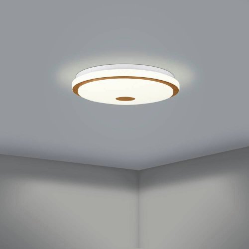 Светильник потолочный LED Lanciano 1 900598 Eglo белый 1 лампа, основание белое в стиле современный  фото 5