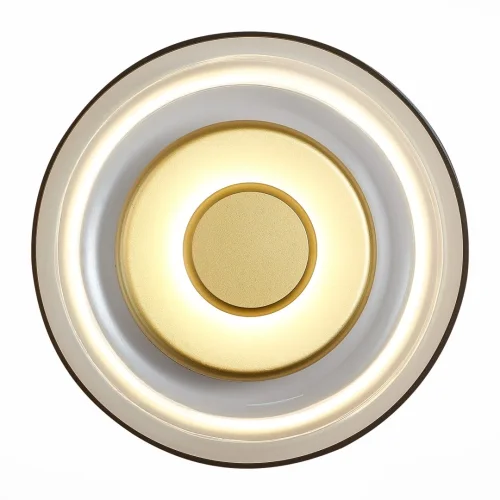Бра LED Lazio SL6002.201.01 ST-Luce янтарный на 1 лампа, основание золотое в стиле современный  фото 3