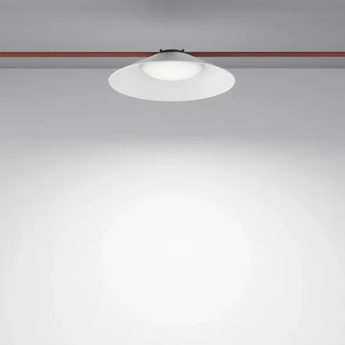 Подвесной светильник Campana 4000K 12Вт 120° Pendant system Parity TR127B-12W4K-W Maytoni белый для шинопроводов серии Pendant system Parity белый фото 4