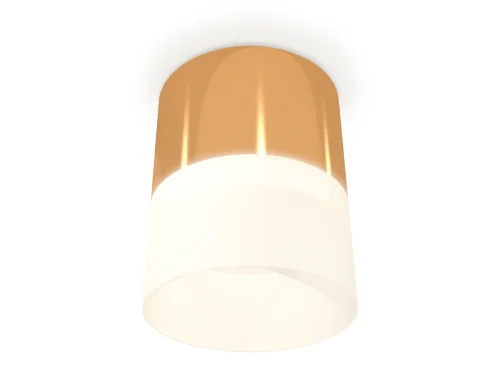 Светильник накладной XS8121011 Ambrella light белый 1 лампа, основание золотое в стиле хай-тек круглый