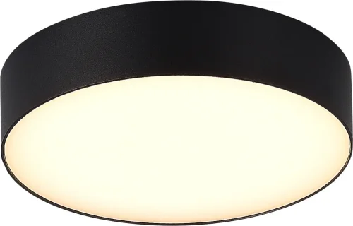 Потолочный светильник LED уличный Sun SL9518.402.01 ST-Luce уличный IP65 чёрный на 1 лампу, плафон белый в стиле хай-тек современный LED