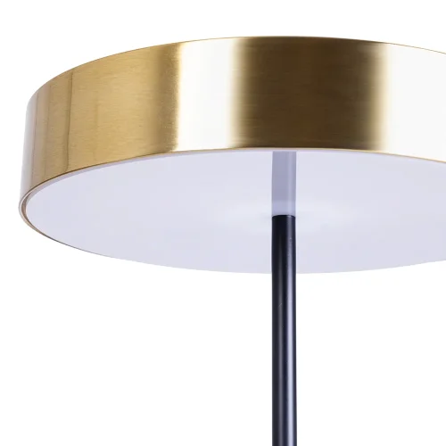 Настольная лампа Elnath A5038LT-3PB Arte Lamp медь 3 лампы, основание медь металл в стиле современный хай-тек  фото 2