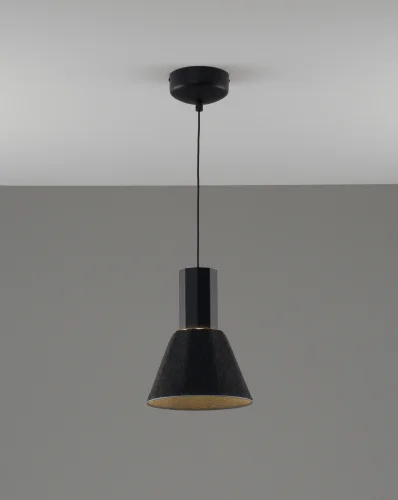 Светильник подвесной LED Cleri V11084-PL Moderli чёрный на 1 лампу, основание чёрное в стиле современный лофт фото 2