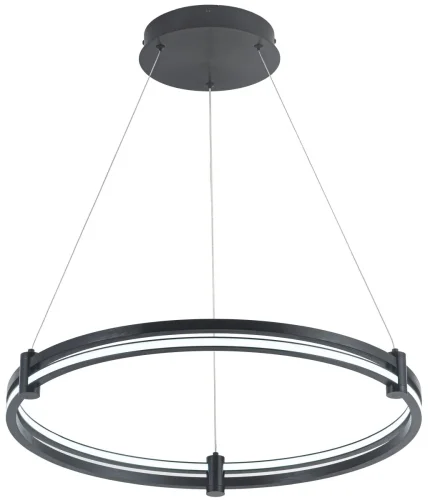 Светильник подвесной LED с пультом Ring 4006/02/01P Stilfort чёрный 1 лампа, основание чёрное в стиле хай-тек современный с пультом кольца фото 2