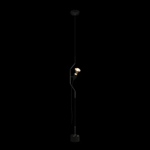 Светильник подвесной Parentesi 10346-1 Black LOFT IT без плафона 1 лампа, основание чёрное в стиле современный на растяжку фото 2