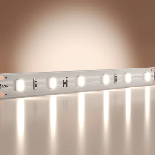 Светодиодная лента 24В 2835 9,6Вт/м 6000K 5м IP 20 201179 Maytoni цвет LED холодный белый 6000K, световой поток 1000Lm фото 3